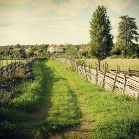 Estudo da Paisagem Rural de Bräbygden